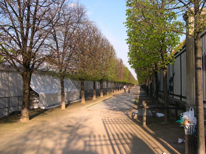  allée bordée d'arbres